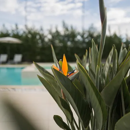 Relais Ottavia Bari Airport 10 Min Bitonto